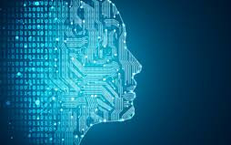 IT Consultancy and Strategy